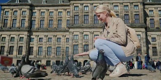 游客在阿姆斯特丹市中心喂鸽子，背景是皇宫。旅行欧洲和荷兰的概念