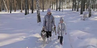 美丽的女人和小孩走在冬天的森林与哈士奇狗。快乐的年轻母亲和女儿在冬季公园与哈士奇狗。雪林中的西伯利亚哈士奇。