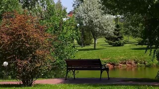 夏日公园木凳视频素材模板下载