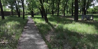老苏联公园自然