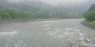 白川吾村附近的Shogawa河雨天