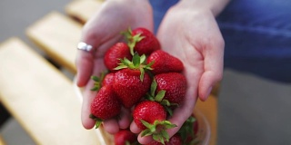 一个漂亮女人手里拿着新鲜成熟的草莓
