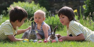 可爱的孩子们，小男孩，学步的孩子和学前班的孩子们，在花团锦裹的花园里玩着小兔子和复活节彩蛋。男孩玩兔子，找鸡蛋过节