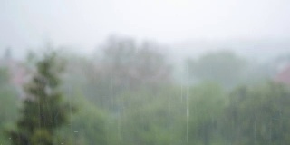 树后大雨，倾盆大雨，雨墙