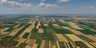 空中景观多色农田