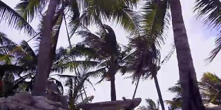 加勒比海滩椰子树和秋千，视频4k