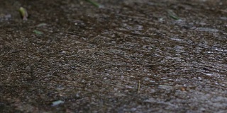 小车变焦效果的雨点打在灰色瓷砖地板上。这给了一个孤独的心情在雨季，看雨水的运动到地板上蔓延的谷粒。