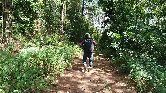 一个背着背包在热带丛林徒步旅行的年轻人。