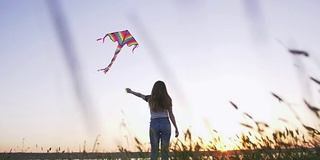 快乐的年轻女子玩风筝在一个林间空地与湖泊背景在夏季日落，低角度的观点