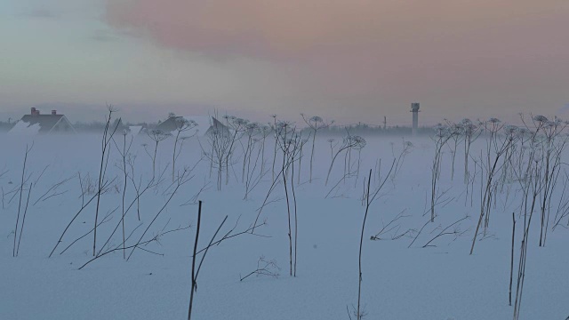冬天傍晚空旷的田野上有雾
