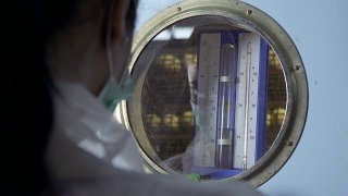 检验员在家禽饲养场检查保温箱内的温度视频素材模板下载