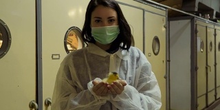 检验员手捧小鸭子站在家禽养殖场的孵化器前