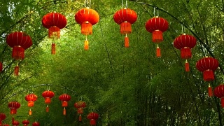 一排排传统中国风格的红灯笼挂在竹树隧道拱门上。视频素材模板下载