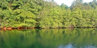 河流和倒影的绿色森林在早上的泰国