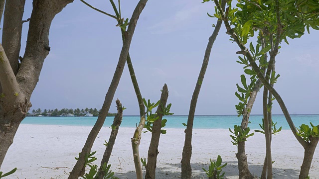 热带天堂。马尔代夫海岸的白沙。