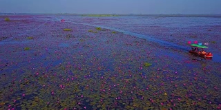 泰国，红莲海，乌东泰国。