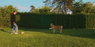 狗和女孩在后院玩球