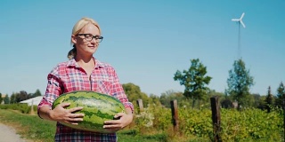 一位漂亮的农妇扛着一个大西瓜在田里走来走去。农村生活丰收