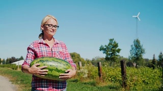 一位漂亮的农妇扛着一个大西瓜在田里走来走去。农村生活丰收视频素材模板下载