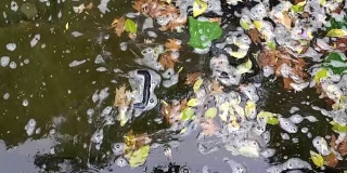 垃圾污染废水对肮脏的湖水