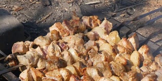 篝火上烤着许多串肉。烤肉串或烤肉本质上是烤的。乡村野餐