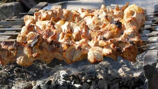 篝火上烤着许多串肉。烤肉串或烤肉本质上是烤的。乡村野餐视频素材模板下载