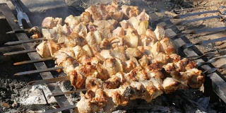 篝火上烤着许多串肉。烤肉串或烤肉本质上是烤的。乡村野餐