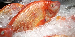 新鲜的红色罗非鱼市场，泰国。