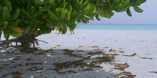 热带天堂。马尔代夫海岸的白沙。