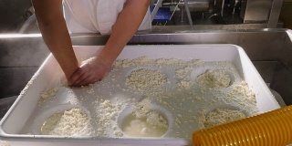 把新鲜的奶酪放进模具-日记奶酪工厂
