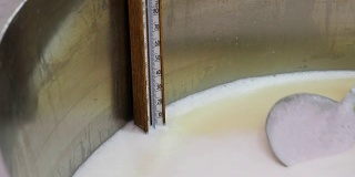 用温度计检查奶酪乳清的温度-奶酪工厂