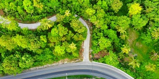 4K鸟瞰图道路与汽车周围许多树木在森林