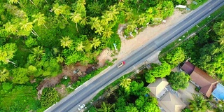 4K鸟瞰图道路与汽车周围许多树木在森林