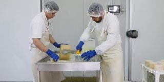 男人洗和擦奶酪形状-日记奶酪工厂