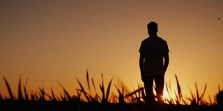 一个年轻人站在一块地里看着夕阳