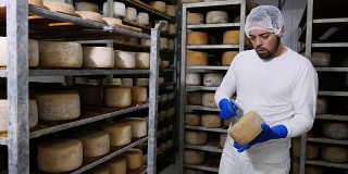 乳酪工厂-乳酪制造商控制乳酪调味料