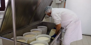 操作员检查乳清干酪模具-日记奶酪工厂