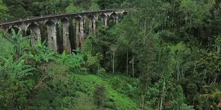 丛林中的旧铁路。鸟瞰图。