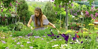 一个年轻女子在温室的花盆里浇花