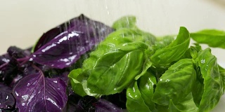 用流水慢动作清洗绿色和蛋白石紫色的罗勒叶