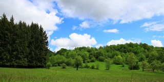 时间流逝的春天草地在比利牛斯乡下，法国