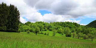 时间流逝的春天草地在比利牛斯乡下，法国