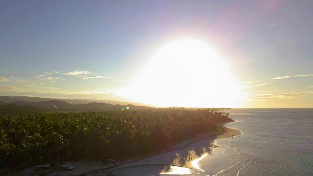 4K空中日落在热带岛屿上的棕榈树