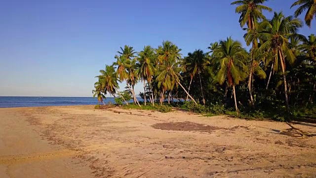4K空中日落在热带岛屿上的棕榈树