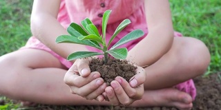 一个亚洲女孩拿出一把有绿色植物的土壤。保护地球的概念和象征