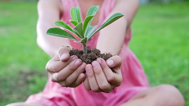 一个亚洲女孩拿出一把有绿色植物的土壤。保护地球的概念和象征。慢动作拍摄，100帧/秒