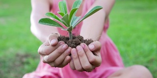 一个亚洲女孩拿出一把有绿色植物的土壤。保护地球的概念和象征。慢动作拍摄，100帧/秒