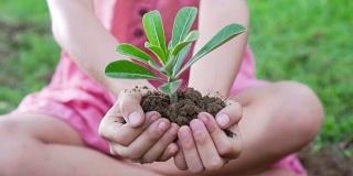 一个亚洲女孩拿出一把有绿色植物的土壤。保护地球的概念和象征。慢动作拍摄，50帧/秒