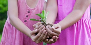 两个女孩举着一把有绿色植物的泥土。保护地球的概念和象征。慢动作拍摄，50帧/秒