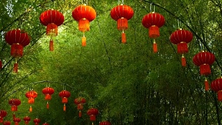 一排排传统中国风格的红灯笼挂在竹树隧道拱门上。视频素材模板下载